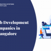 Web Development Companies in Bangalore