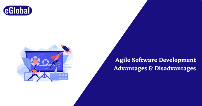 Agile Software Development