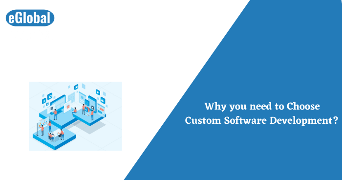 custom Software Development