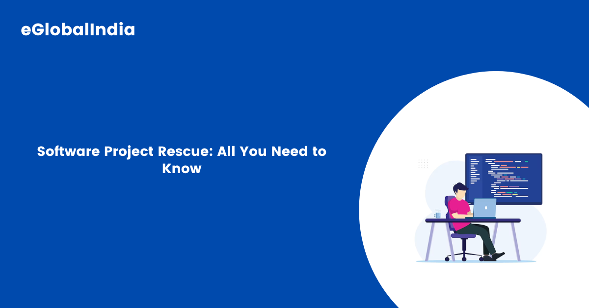 Software Project Rescue: All You Need to Know