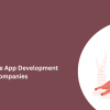 Top Pet Care App Development Companies 
